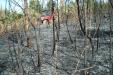 incendio Tenerife